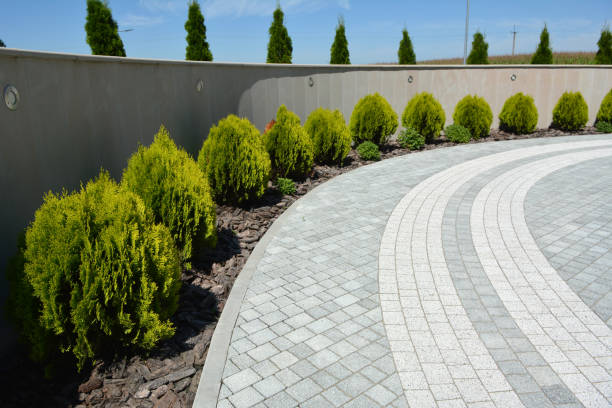 Best Local Driveway Pavers  in Bulverde, TX
